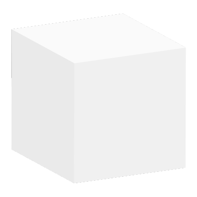 white box penetration test